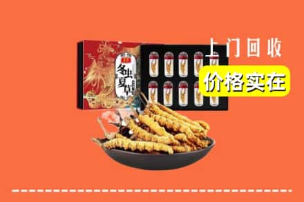 黄石阳新县回收冬虫夏草